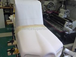 Engine cowl (27)
